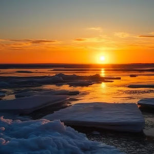 Meet your Posher, Sonia